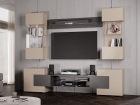 Гостиная Фэнтези (кашемир/графит) в Посевной - posevnaya.mebel-nsk.ru | фото