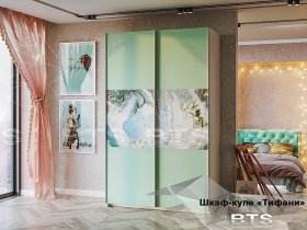 Шкаф-купе Тифани ШКК-01 (BTS) в Посевной - posevnaya.mebel-nsk.ru | фото