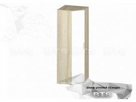 Шкаф угловой Сенди ШК-01 (BTS) в Посевной - posevnaya.mebel-nsk.ru | фото